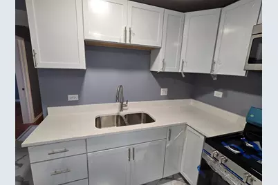 1311 S Christiana Avenue #3FL, Chicago, IL 60623 - Photo 14