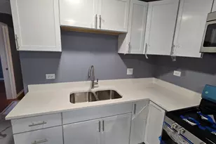 1311 S Christiana Ave, Chicago, IL 60623 - Photo 14