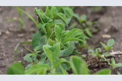 41616 N Delany Road, Wadsworth, IL 60083 - Photo 34