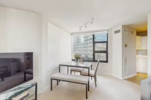 401 E Ontario St, Chicago, IL 60611 - Photo 8