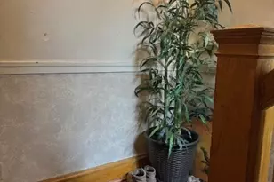 5829 N Washtenaw Ave, Chicago, IL 60659 - Photo 20