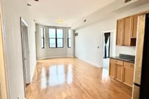 1464 S Michigan Ave, Chicago, IL 60605 - Photo 4