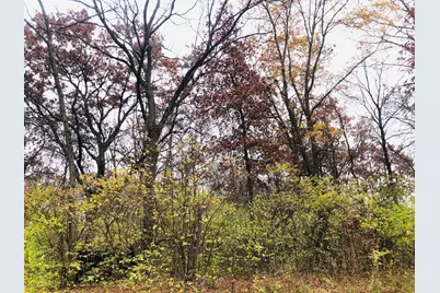 704 Echo (Lot 21) Trail, Marengo, IL 60152 - Photo 4