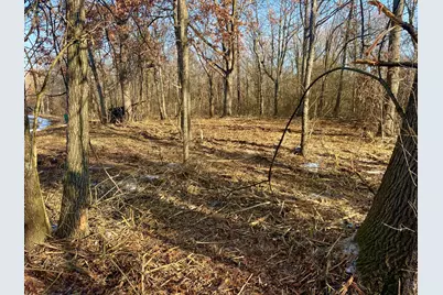 911 Echo (Lot 5) Trail, Marengo, IL 60152 - Photo 2