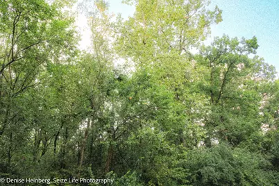 910 Echo (Lot 6) Trail, Marengo, IL 60152 - Photo 4