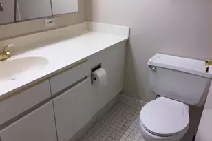 440 N Wabash Ave, Chicago, IL 60611 - Photo 14