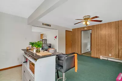 107 N Elm Street, Gardner, IL 60424 - Photo 20