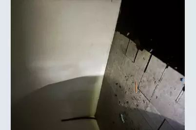 6439 S Bishop Street, Chicago, IL 60636 - Photo 6