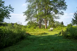 116 Cornerstone Xing, Hampshire, IL 60140 - Photo 46