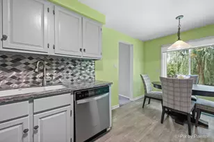 911 N Quince Ln, Mount Prospect, IL 60056 - Photo 12