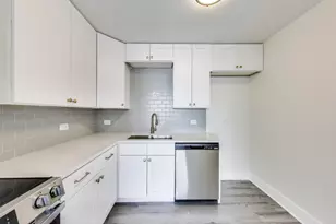 1636 N Wells St, Chicago, IL 60614 - Photo 20