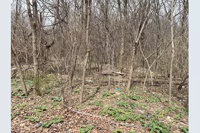 1213 W Park Front Street, Joliet, IL 60436 - Photo 4