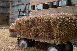 1607 Wheeler Rd, Kirkland, IL 60146 - Photo 34