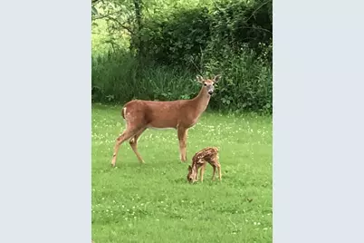 1607 Wheeler Road, Kirkland, IL 60146 - Photo 58