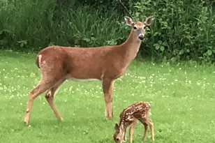 1607 Wheeler Rd, Kirkland, IL 60146 - Photo 58