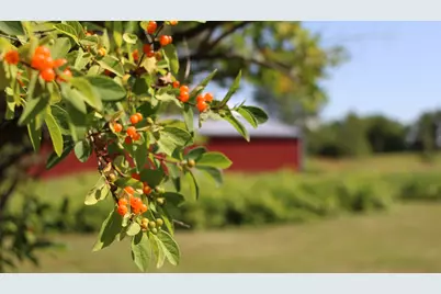 1607 Wheeler Road, Kirkland, IL 60146 - Photo 56