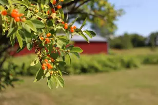 1607 Wheeler Rd, Kirkland, IL 60146 - Photo 56