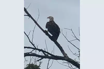 1607 Wheeler Road, Kirkland, IL 60146 - Photo 60