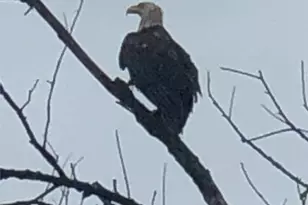 1607 Wheeler Rd, Kirkland, IL 60146 - Photo 60