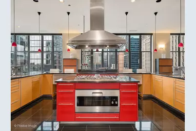 333 W Hubbard Street #1006, Chicago, IL 60654 - Photo 16