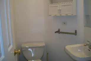 431 S Harvey St, Oak Park, IL 60302 - Photo 6