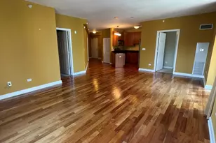 1101 S State St, Chicago, IL 60605 - Photo 10