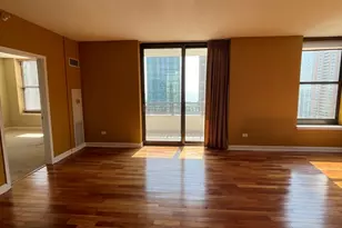 1101 S State St, Chicago, IL 60605 - Photo 8