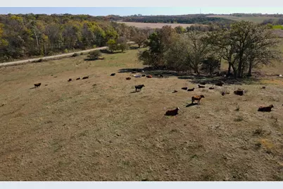 000 Holstein Prairie Road, Montello, WI 53570 - Photo 16