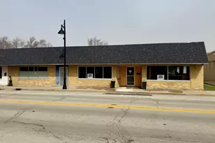 192-194 E Main St, Braidwood, IL 60408 - Photo 1