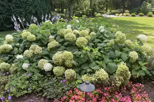 375 Sunset Dr, Northfield, IL 60093 - Photo 34