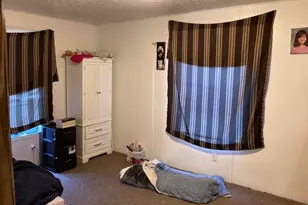 745 E Mary Ln, Godley, IL 60407 - Photo 6