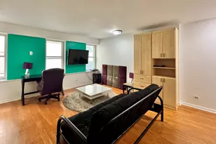 40 E 9th St, Chicago, IL 60605 - Photo 12