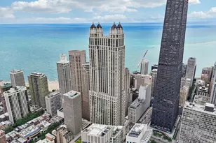 132 E Delaware Pl, Chicago, IL 60611 - Photo 48