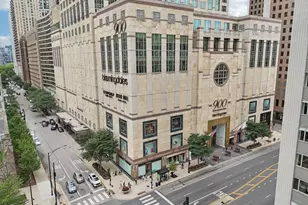 132 E Delaware Pl, Chicago, IL 60611 - Photo 52