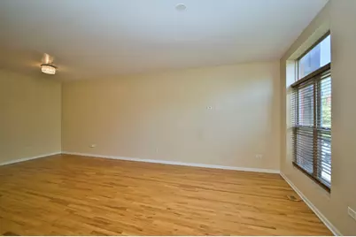 353 E Eastgate Place, Chicago, IL 60616 - Photo 14