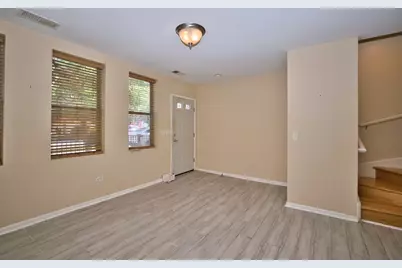 353 E Eastgate Place, Chicago, IL 60616 - Photo 4