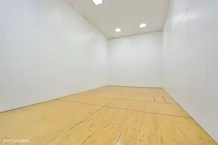 211 E Ohio St, Chicago, IL 60611 - Photo 16