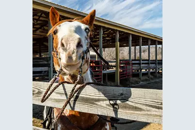 16 Wagoner Lane, Galena, IL 61036 - Photo 14