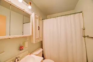 100 W Herron Ct, Watseka, IL 60970 - Photo 18