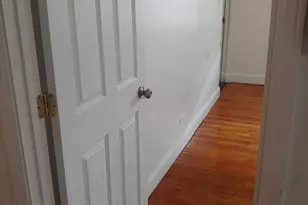 307 E 50th St, Chicago, IL 60615 - Photo 10