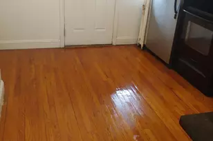 307 E 50th St, Chicago, IL 60615 - Photo 6