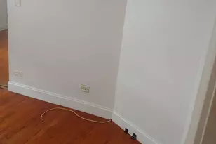 307 E 50th St, Chicago, IL 60615 - Photo 8