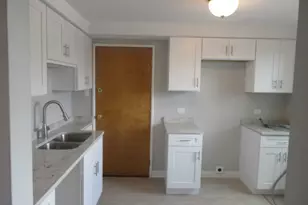 2012 W 111th St, Chicago, IL 60643 - Photo 28