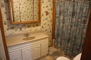 207 E North St, Walnut, IL 61376 - Photo 12