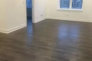 1524 N Ashland Ave, Chicago, IL 60622 - Photo 12