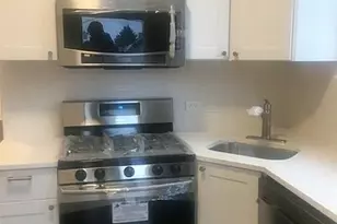 1524 N Ashland Ave, Chicago, IL 60622 - Photo 28