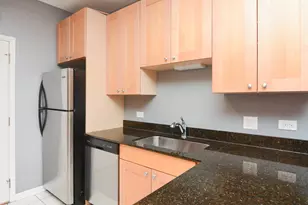 1421 W Jonquil Terrace, Chicago, IL 60626 - Photo 4