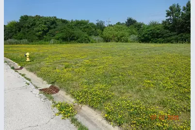 20015 Delphi Drive, Olympia Fields, IL 60461 - Photo 2