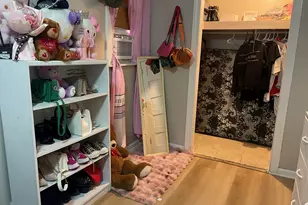 9931 S Ewing Ave, Chicago, IL 60617 - Photo 8