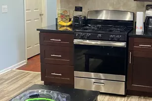 459 W 26th St, Chicago, IL 60616 - Photo 2